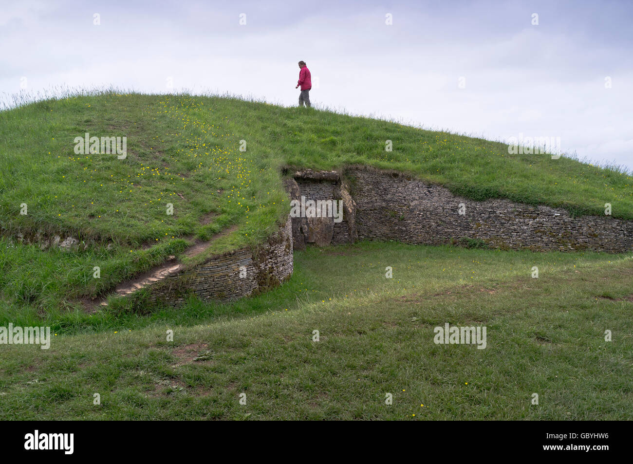 dh Cleeve Hill Belas Knapp COTSWOLDS GLOUCESTERSHIRE Walker on Stone Age mound long barrow burial chamber ancient knap mounds uk walking Stock Photo