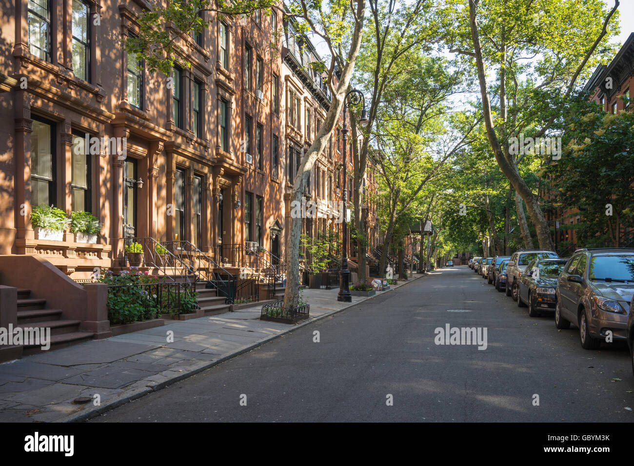 Tree-lined street with attractive brownstone buildings in affluent residential neighborhood in Brooklyn Heights, New York Stock Photo