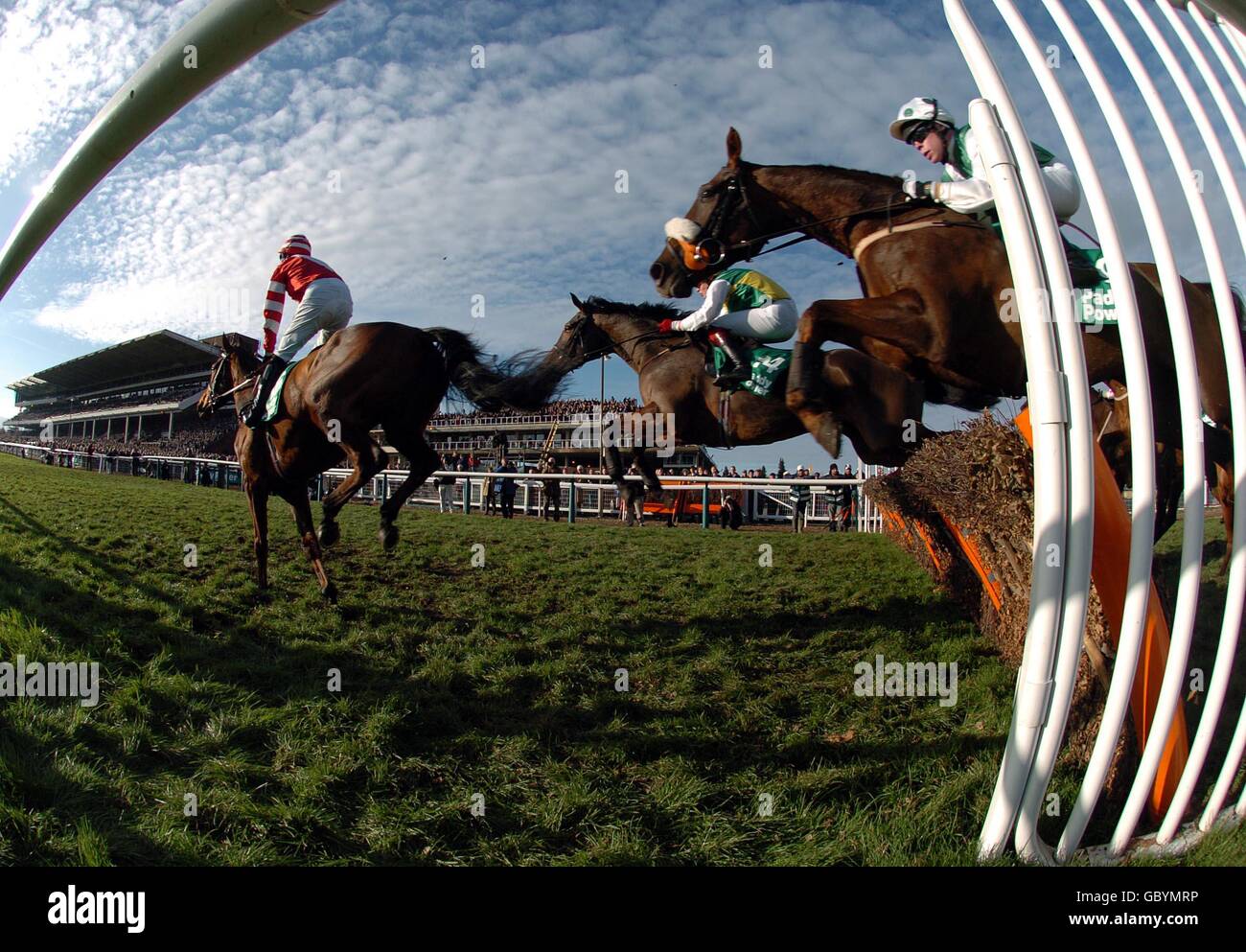 Horse Racing - Cheltenham Races Stock Photo - Alamy