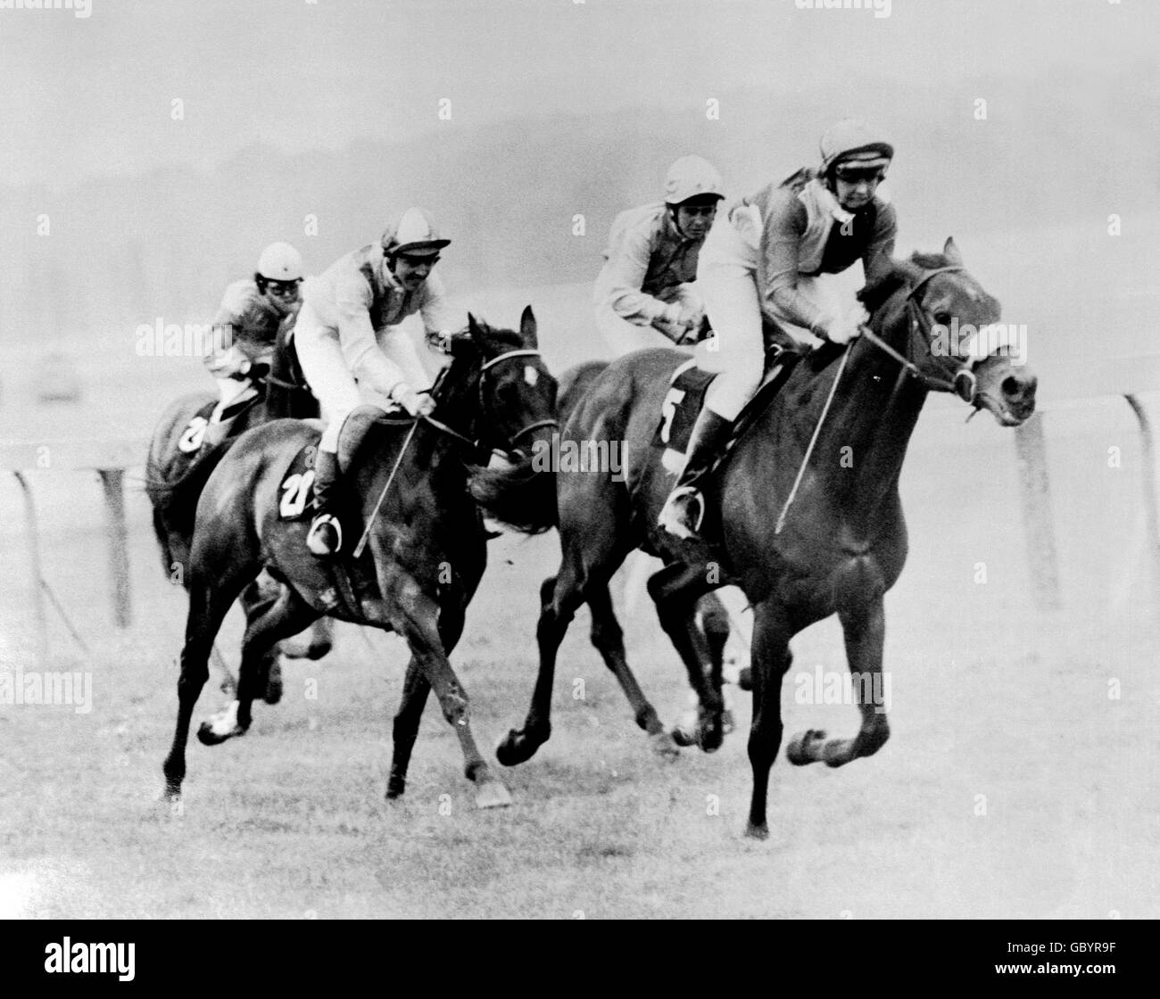 Horse Racing - Never a Quarrell Stakes - Newbury Stock Photo