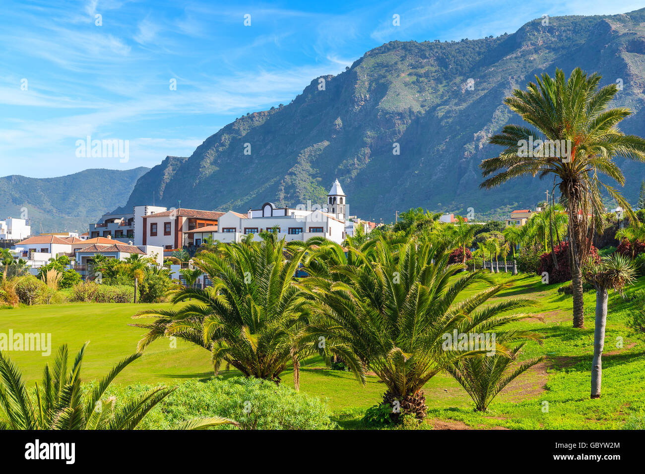 Tropical palm trees in mountain landscape of northern Tenerife with Buenavista del Norte town in distance, Canary Islands, Spain Stock Photo