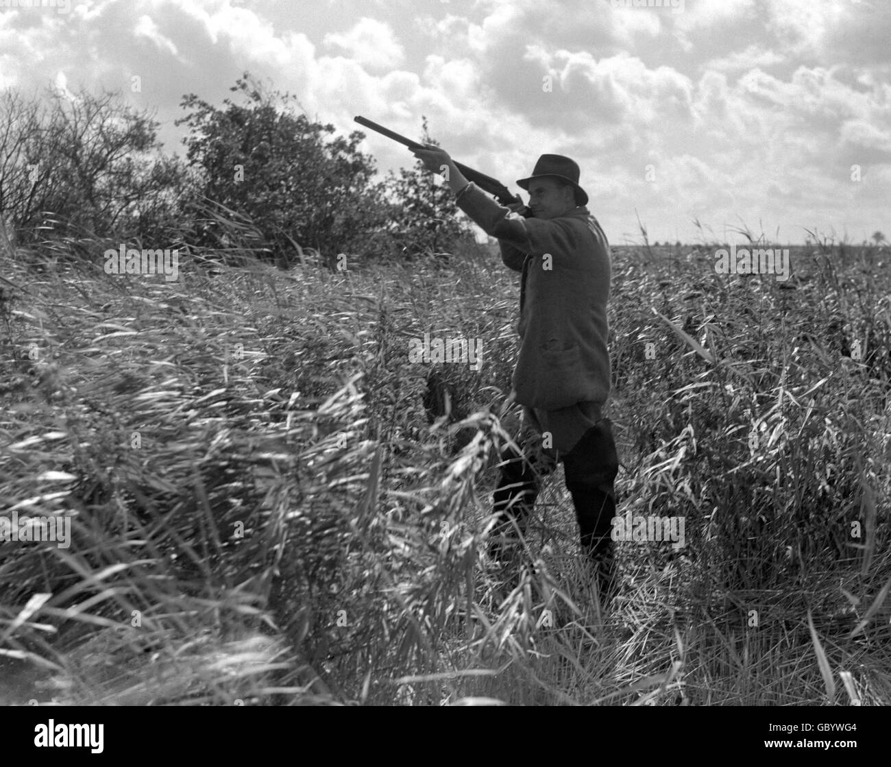 Duck Shooting - Norfolk Broads. Jack Mallabar at a duck shoot on the Norfolk Broads. Stock Photo