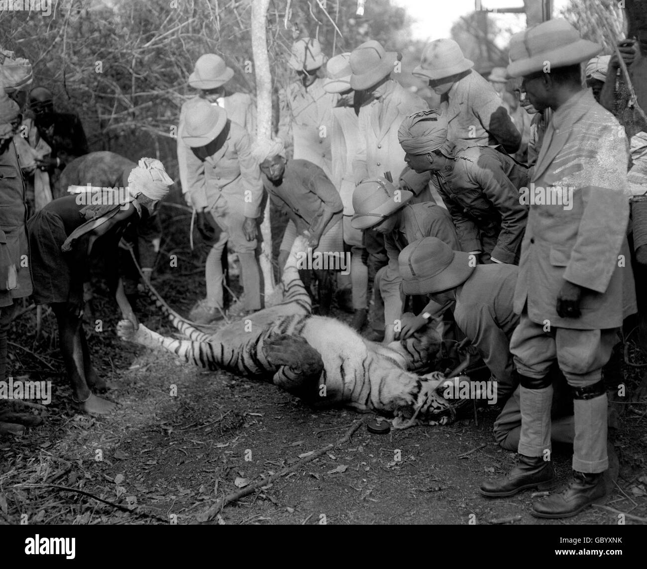 The Prince of Wales, accompanied by the Maharajah, at a tiger shoot, during his Indian tour. Stock Photo