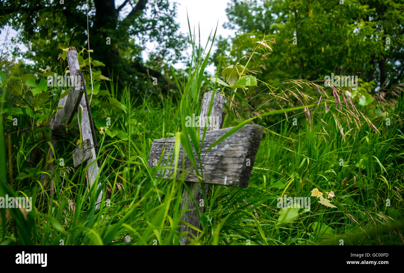 Wooden crosses in field Stock Photo