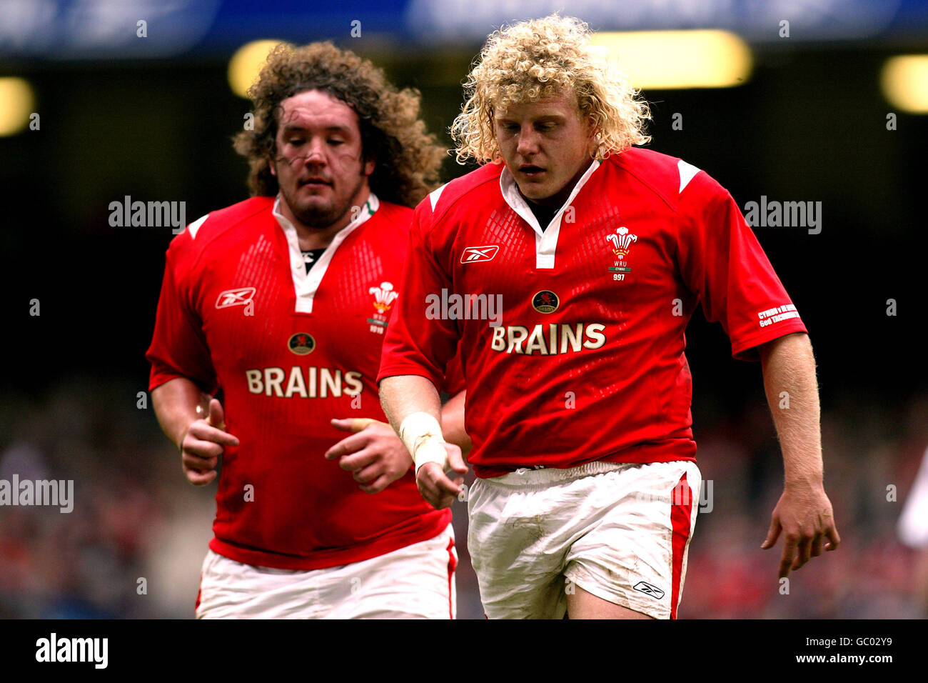 rugby 2004