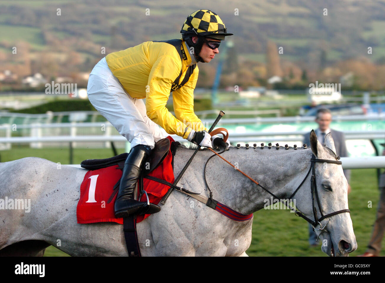 Horse Racing, Cheltenham Races. Rooster Booster ridden by Timmy Murphy Stock Photo