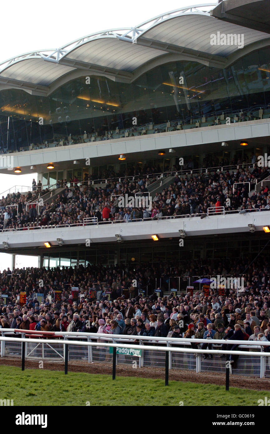 Horse Racing - Cheltenham Races Stock Photo - Alamy