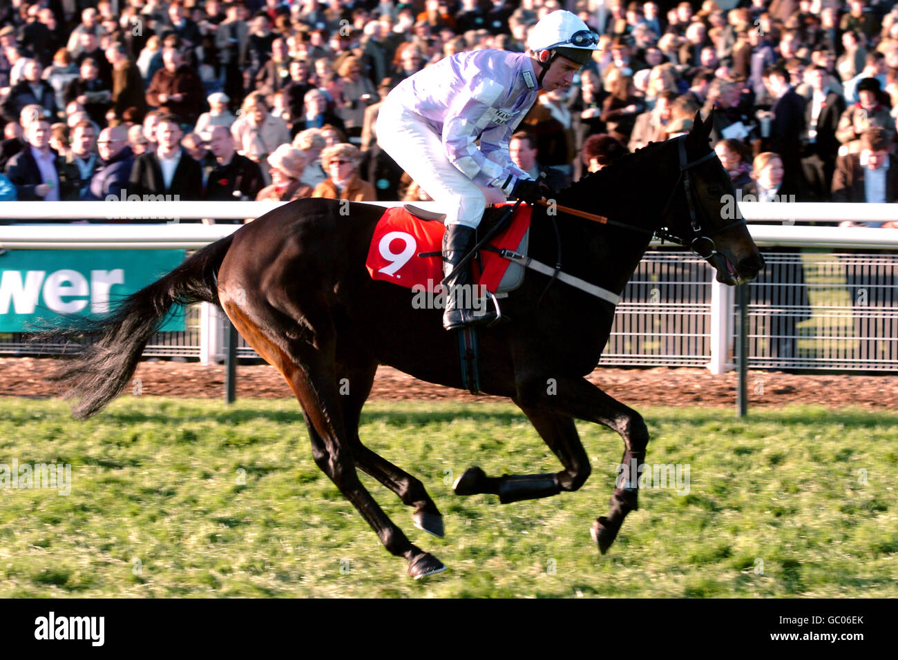 Horse Racing - Cheltenham Races Stock Photo - Alamy