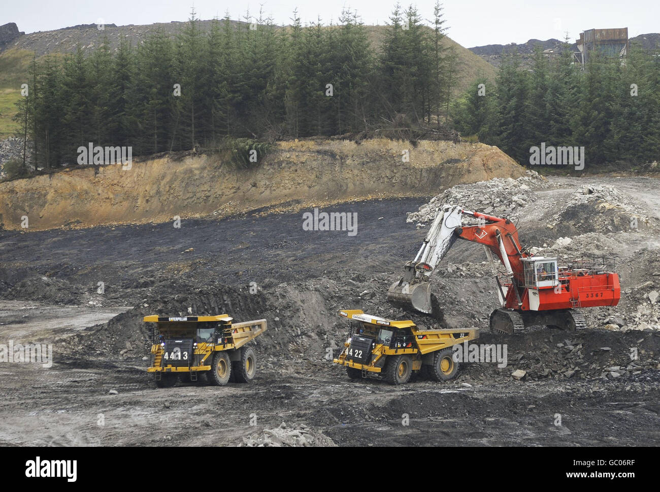 Mine wood scotland hires stock photography and images Alamy