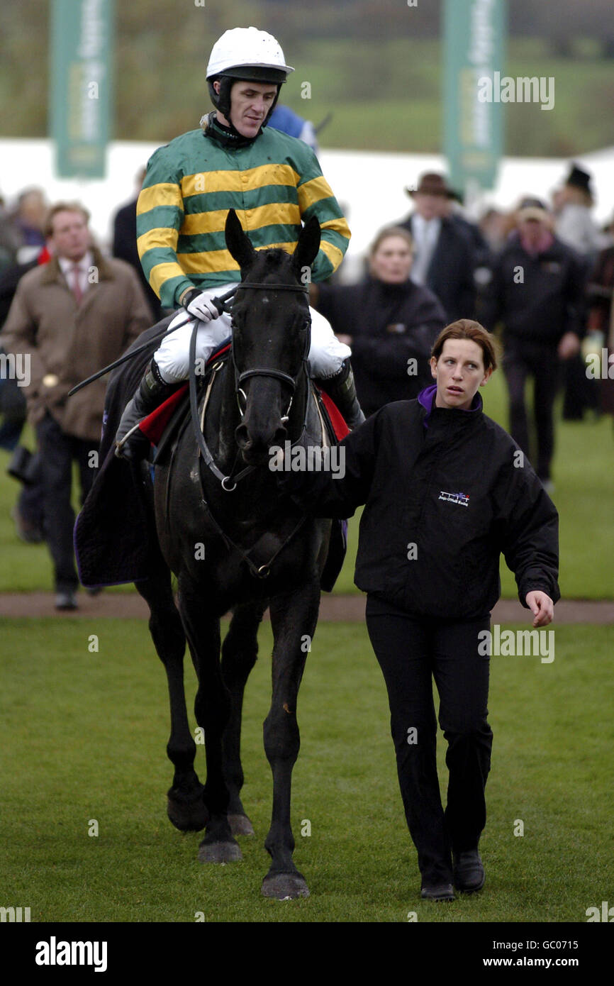 Cheltenham Races Paddock Led into the paddock with jockey hi-res stock photography and images ...