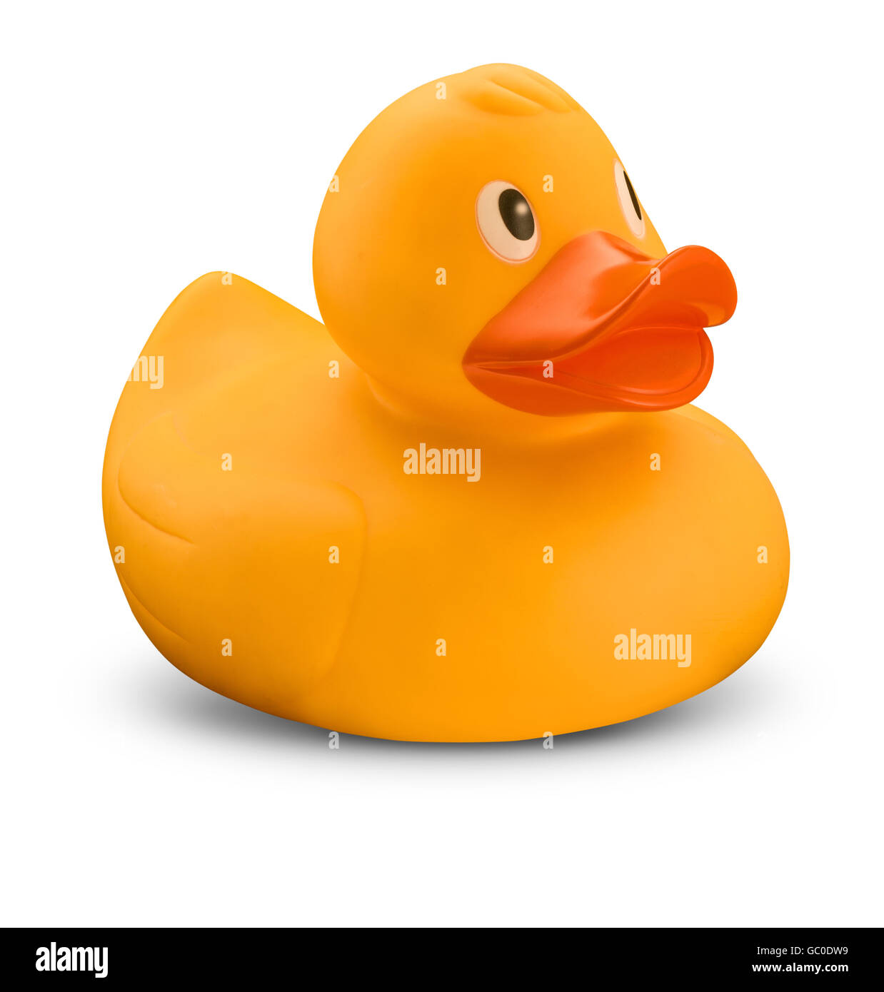 Yellow Rubber plastic duck Stock Photo Alamy