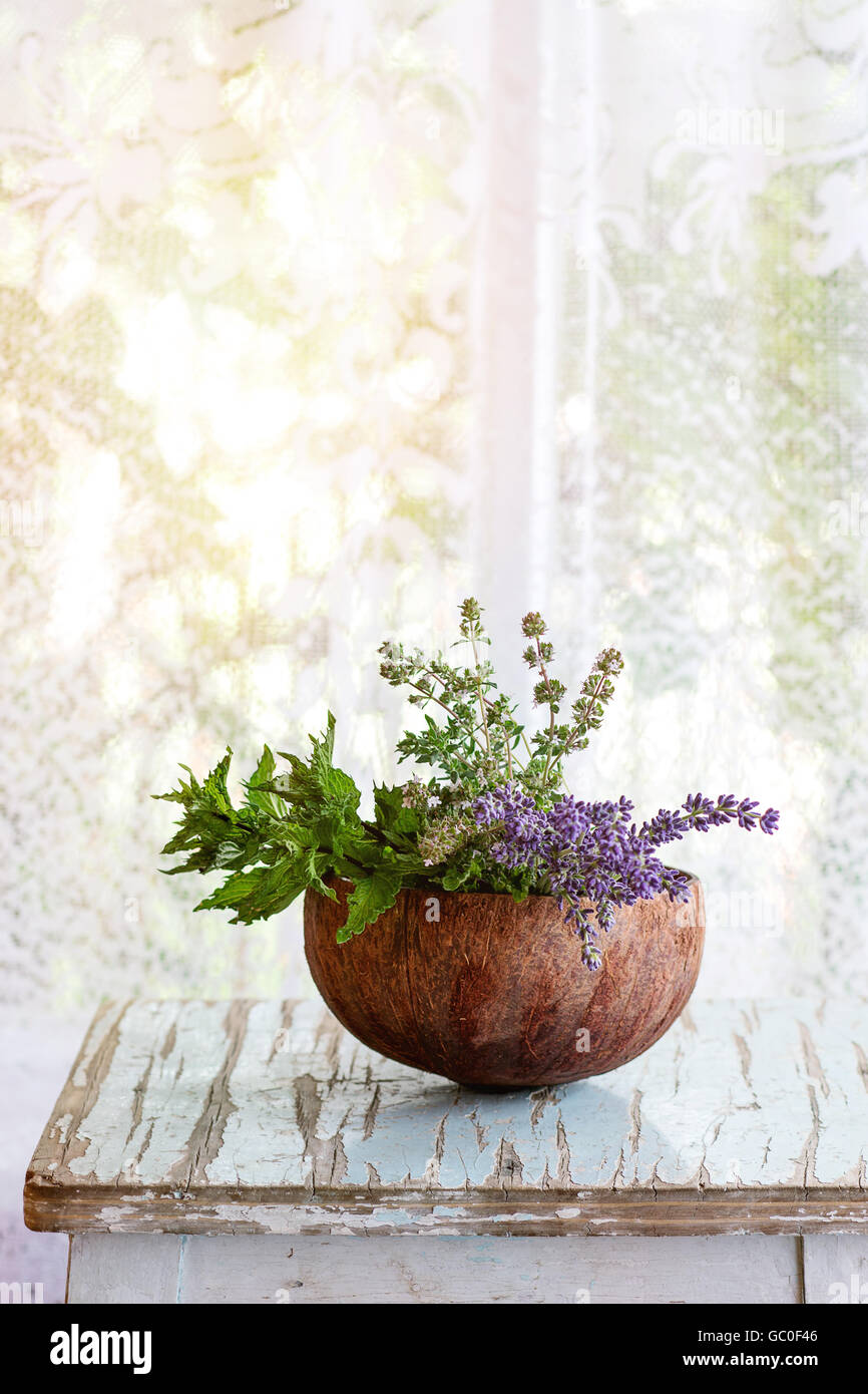 Bouquet of garden herbs Stock Photo