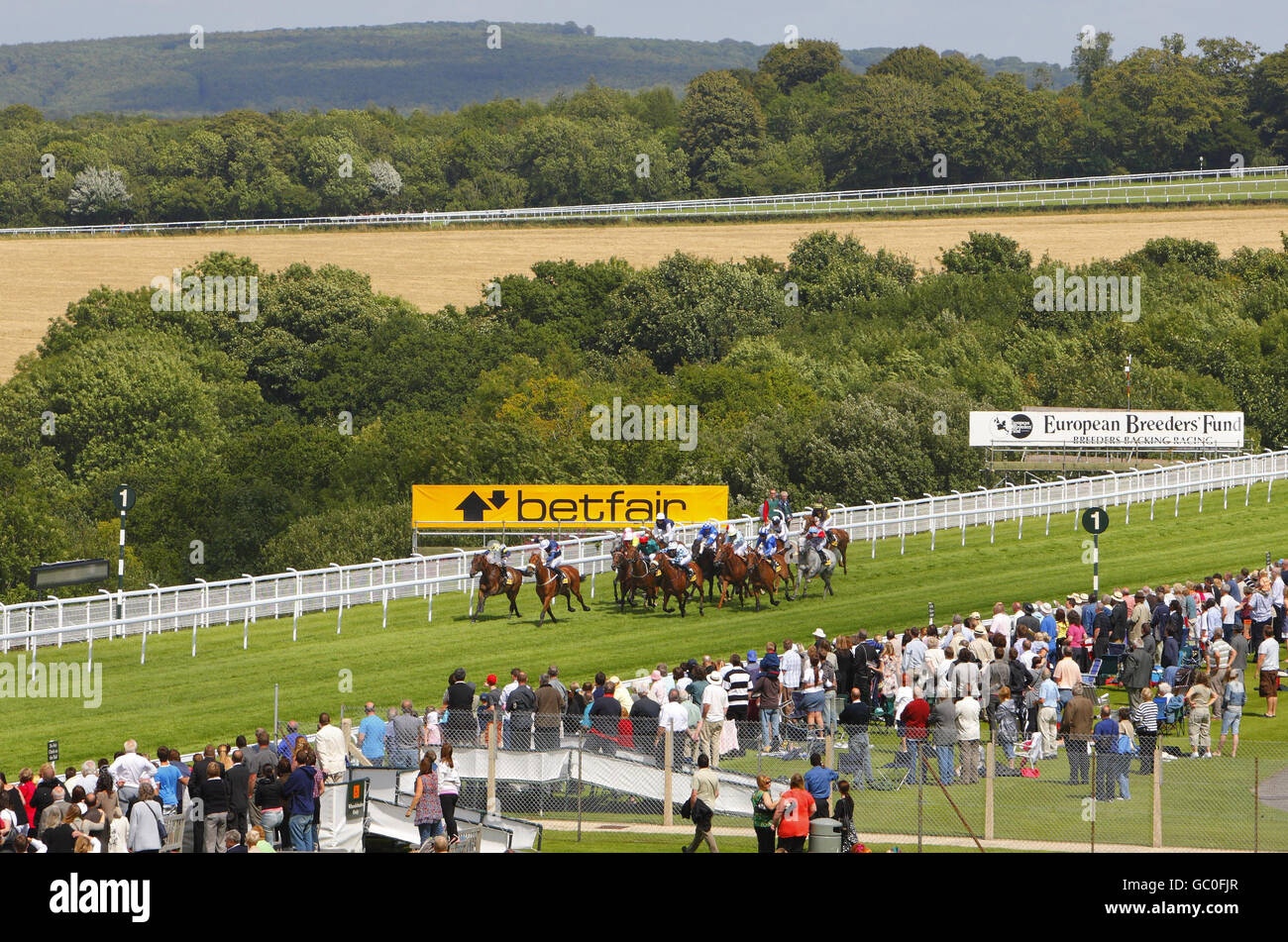 Horse Racing - Glorious Goodwood - Day One - Goodwood Stock Photo - Alamy