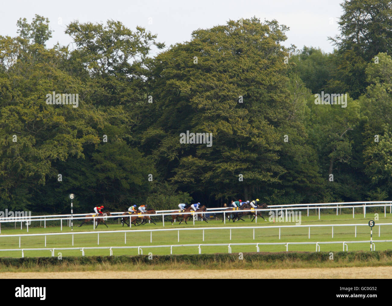 Horse Racing - Glorious Goodwood - Day One - Goodwood Stock Photo - Alamy