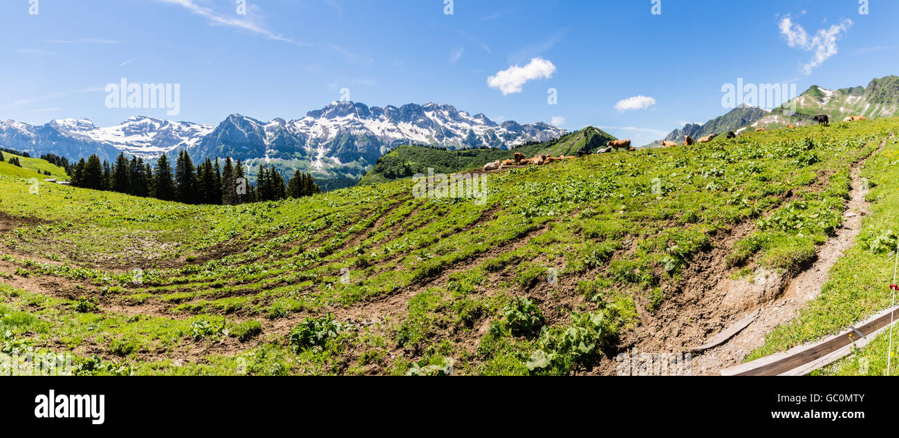 Panoramic view of the snow peaked Alps in Switzerland in Summer at Portes du Soleil Stock Photo