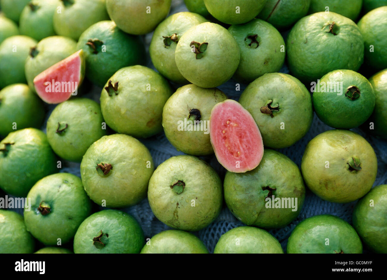 Guava fruits hi-res stock photography and images - Alamy
