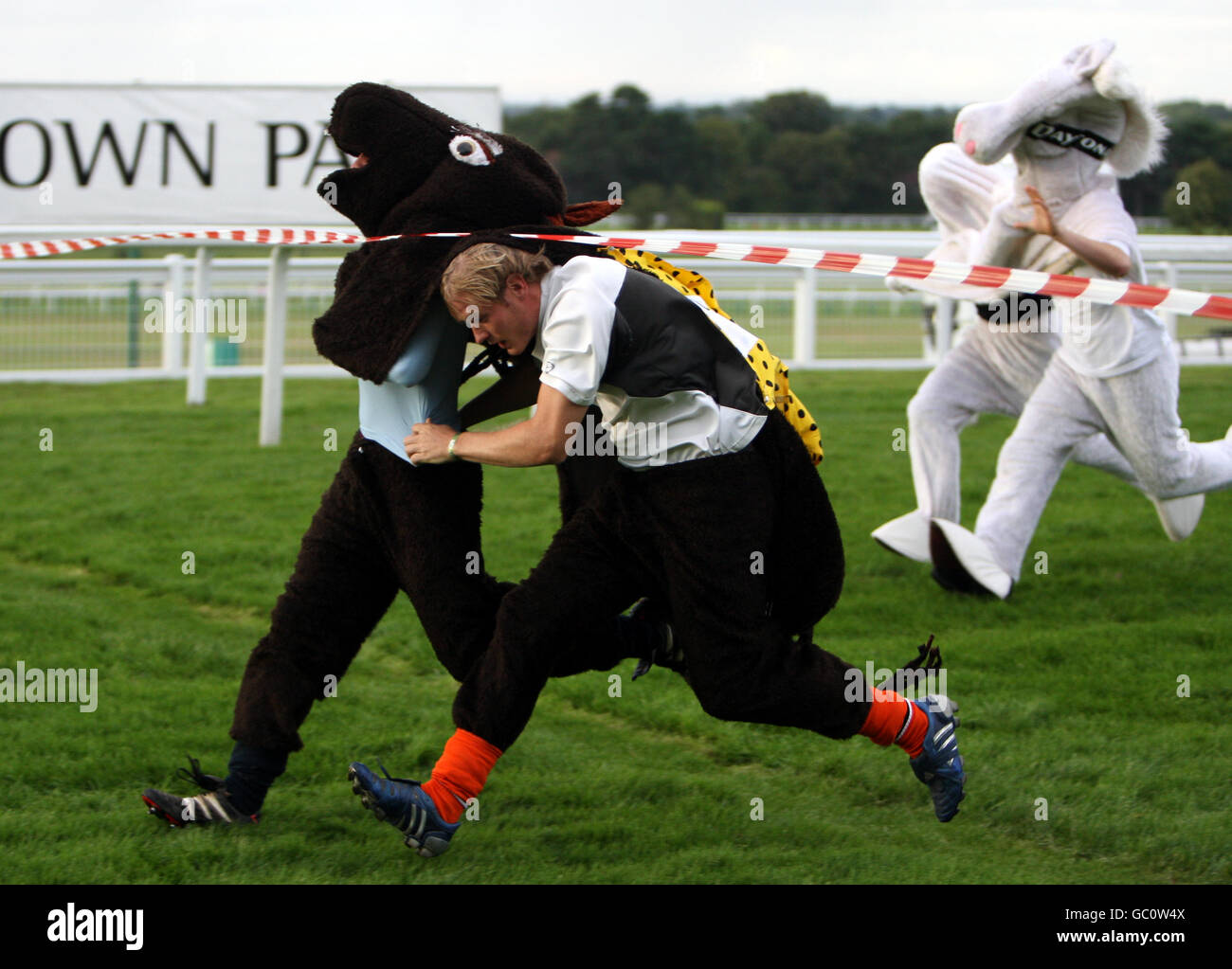 Horse Racing - Comedy Night - Sandown Park. Neigh Chance win the Mayor's pantomime horse race Stock Photo