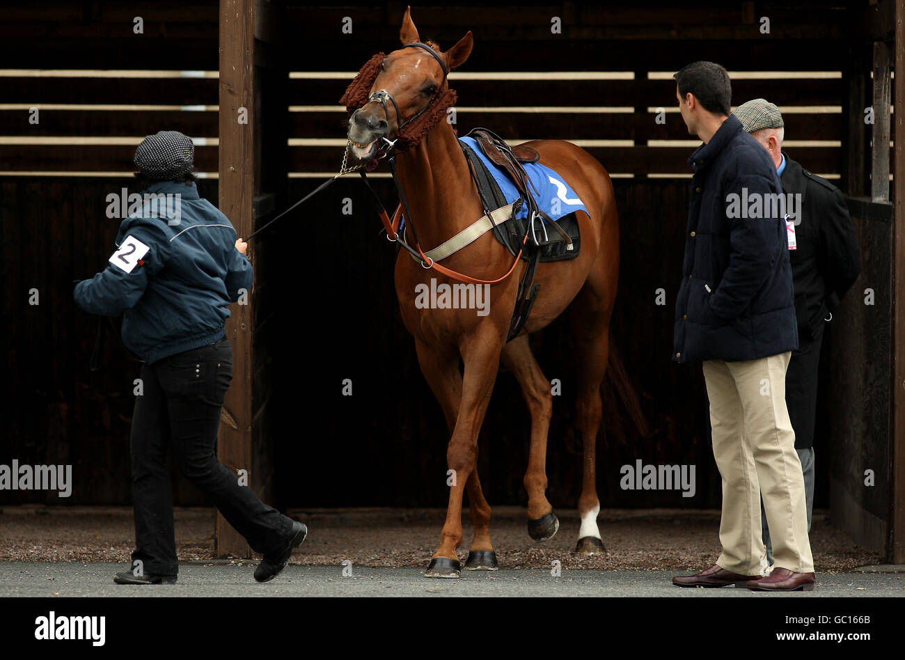 A horse is lead from the stables at hereford racecourse hires stock
