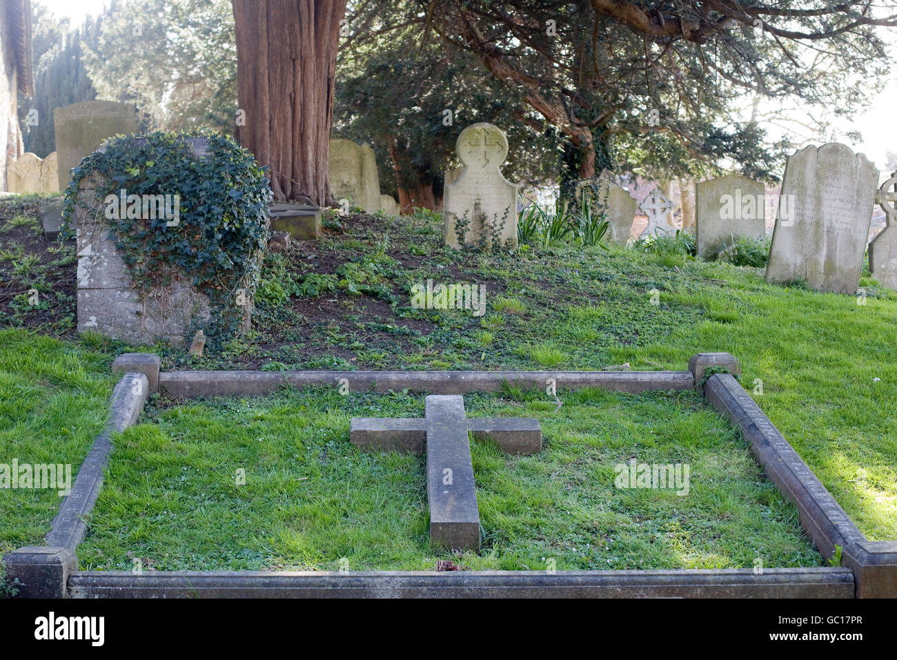 Ivy on headstones hires stock photography and images Alamy
