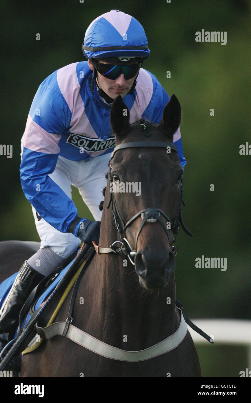 Horse Racing Italian Night Hamilton Stock Photo Alamy