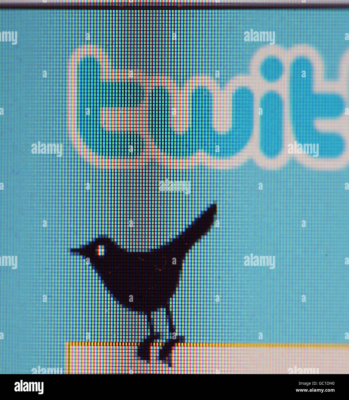 The Twitter icon displayed on a laptop. Stock Photo