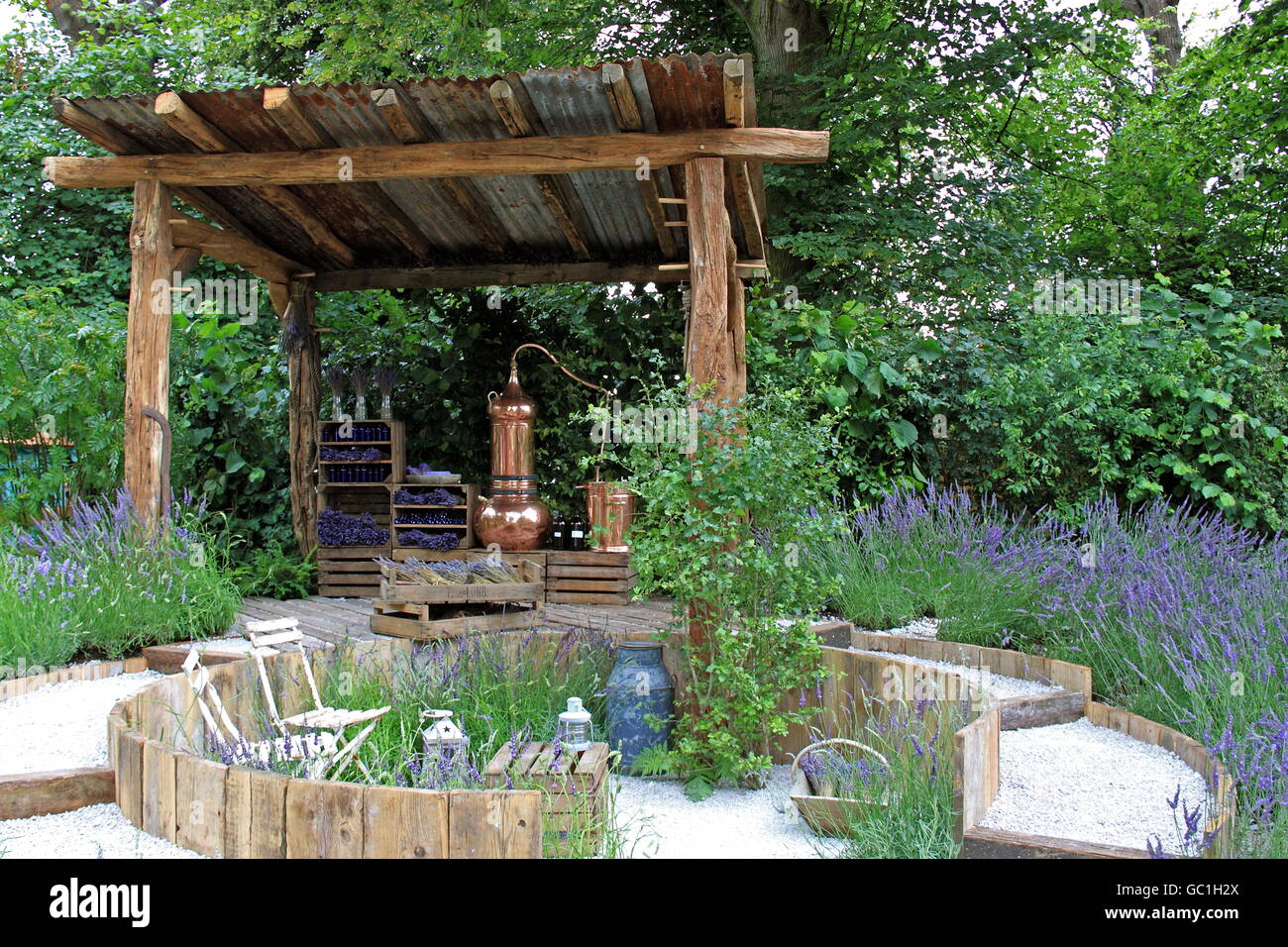 Gold Medal Winner: Shropshire Lavender 'Lavender Garden', RHS Hampton Court Palace Flower Show 2016 Stock Photo