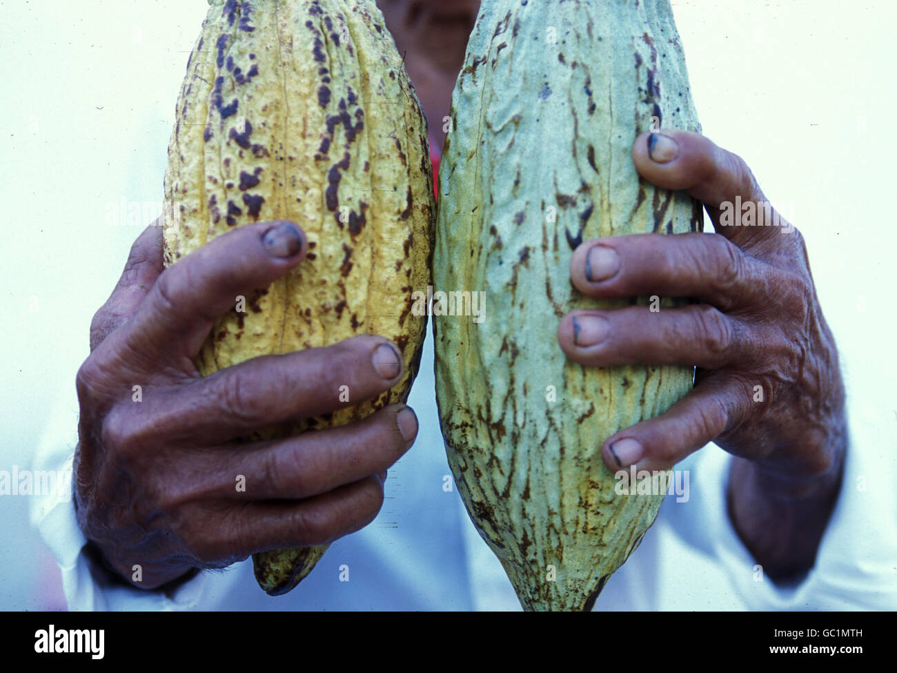 Mexican farmer with cacao beans at the church in the town of Esquipulas in Guatemala in central America. Stock Photo