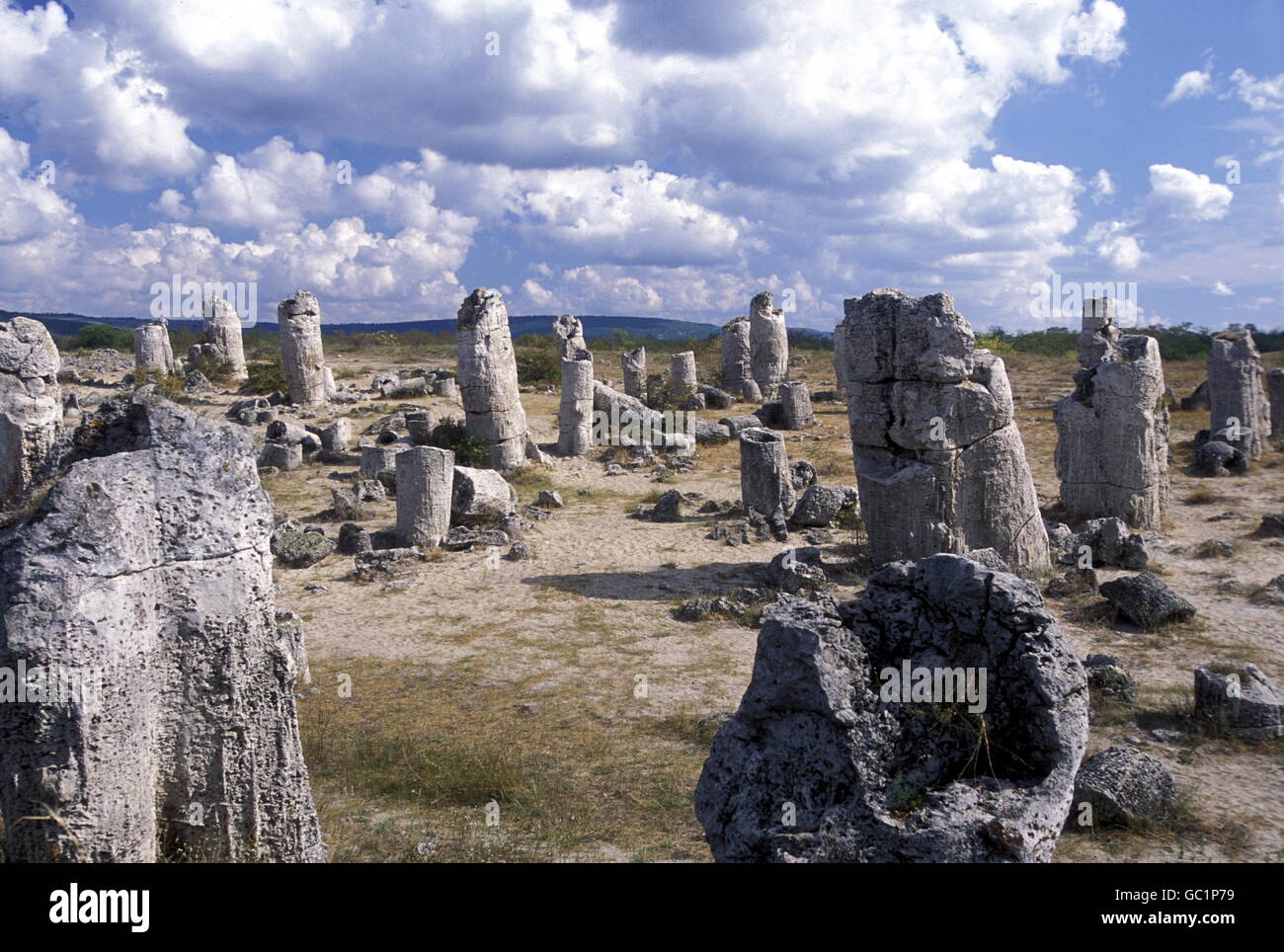 the stone forest near the city of Varna on the Blacksea in Bulgaria in east Europe. Stock Photo