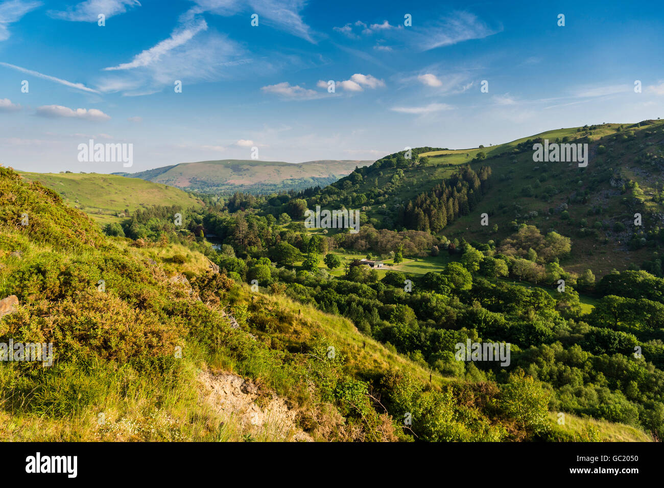 The river wye valley, spring evening, looking downriver from a hilltop