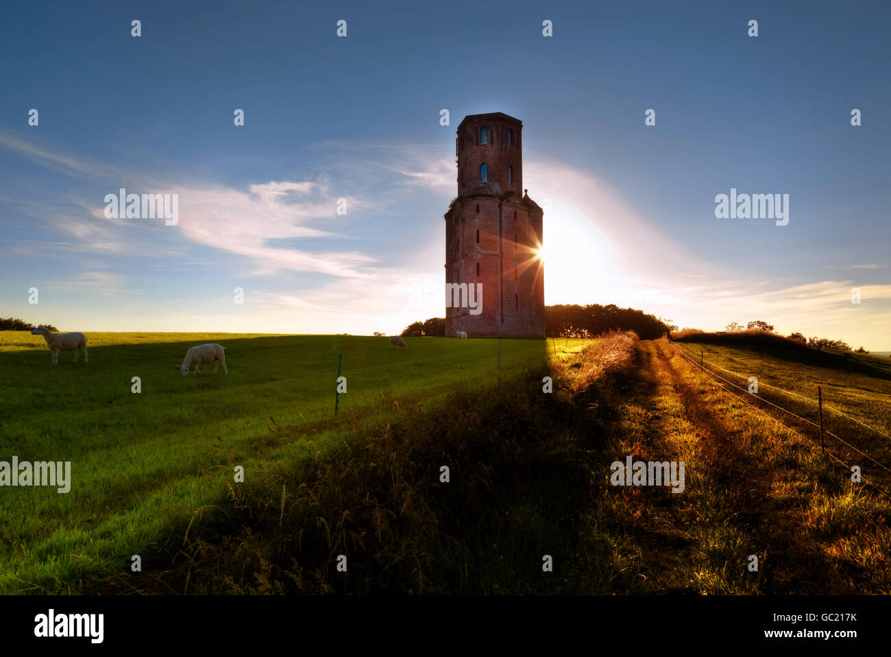 Horton Tower; Dorset; England; UK Stock Photo