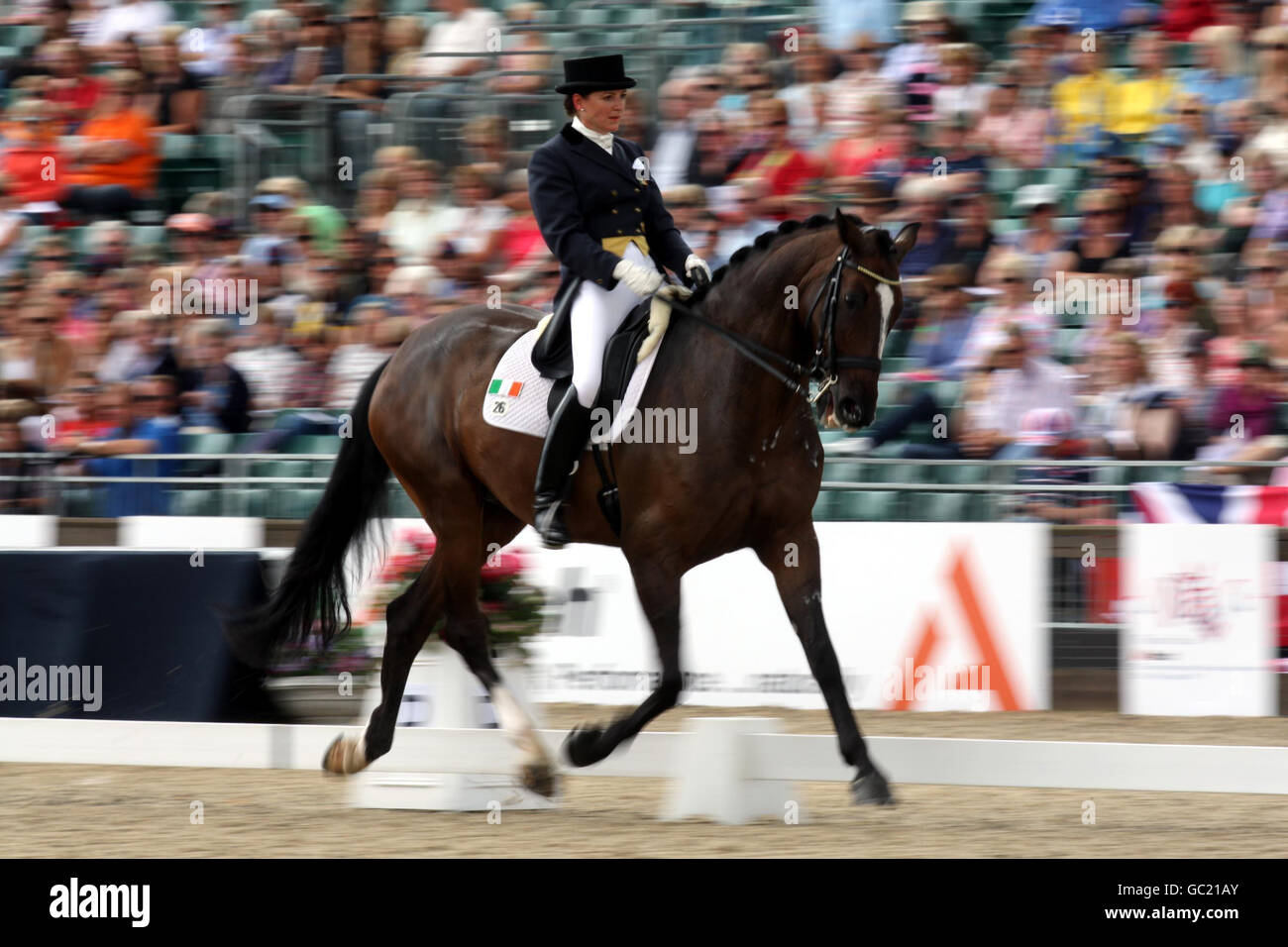 Equestrian European Show Jumping and Dressage Championships Day