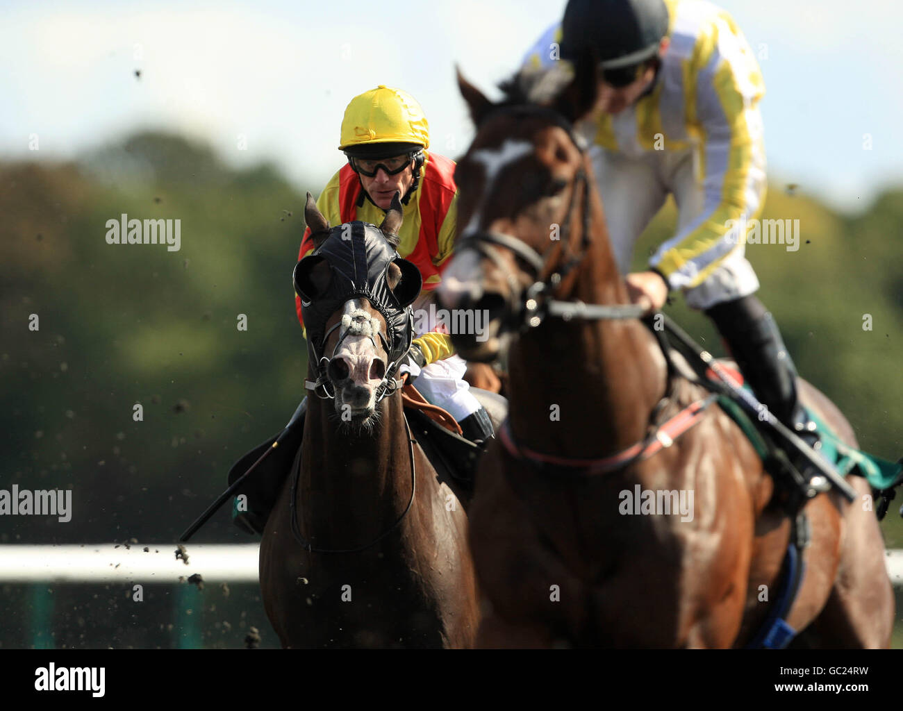 Horse Racing - Lingfield Park Stock Photo - Alamy