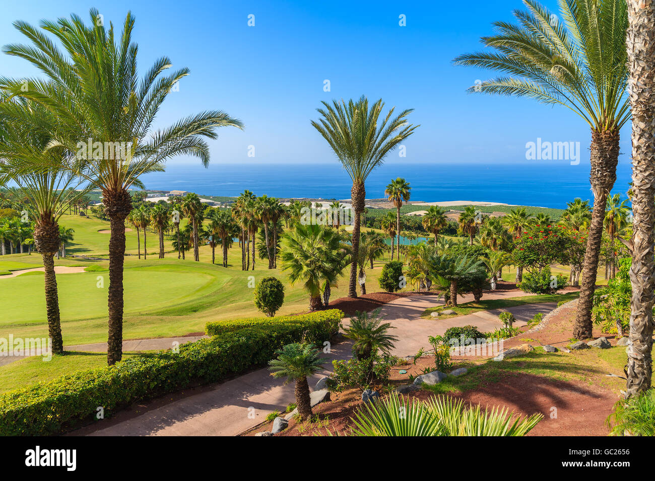 A view of tropical landscape with palm trees on Tenerife, Canary Islands, Spain Stock Photo