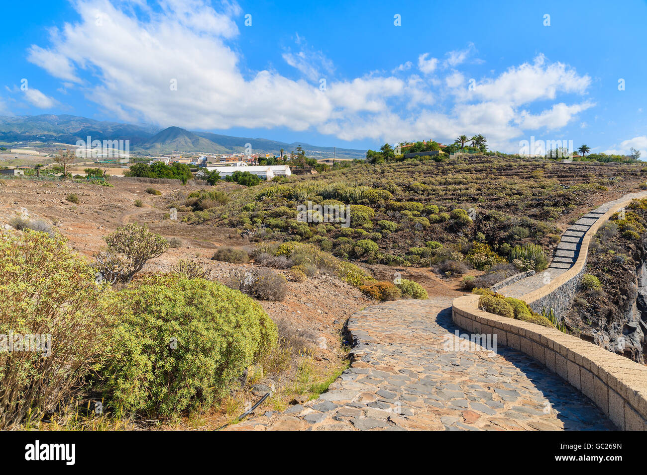 Coastal path in mountain landscape of Tenerife, Canary Islands, Spain Stock Photo
