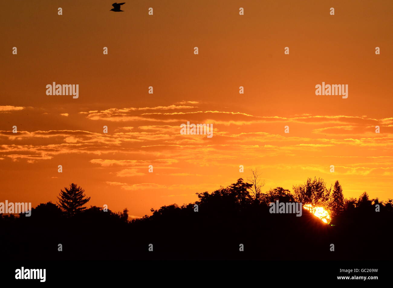 sunset on the river Stock Photo - Alamy