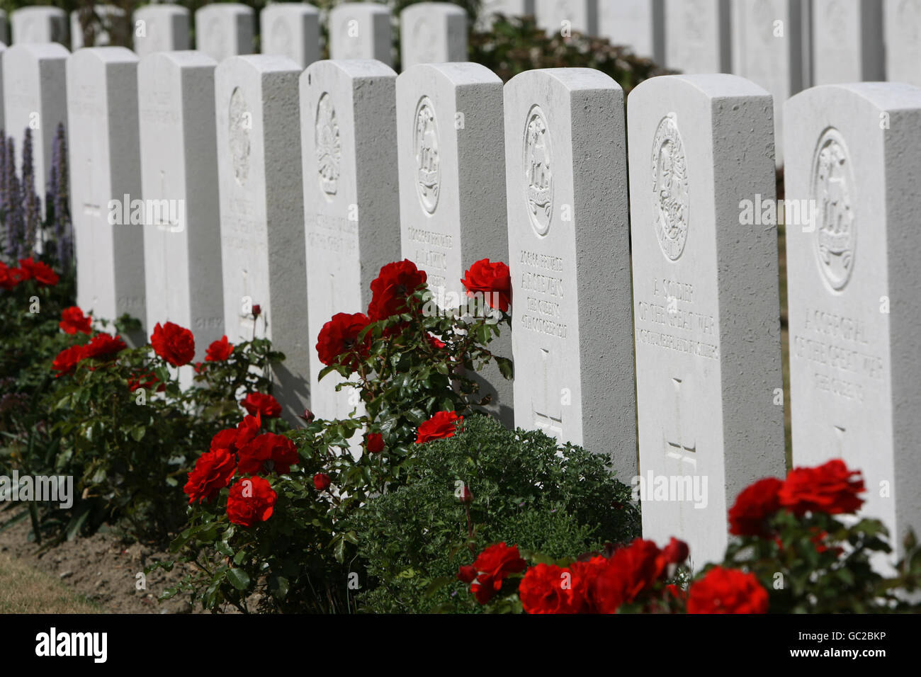 Tyne Cot cemetery at Passchendale, the world's largest WW1 cemetery of the Commonwealth Stock Photo