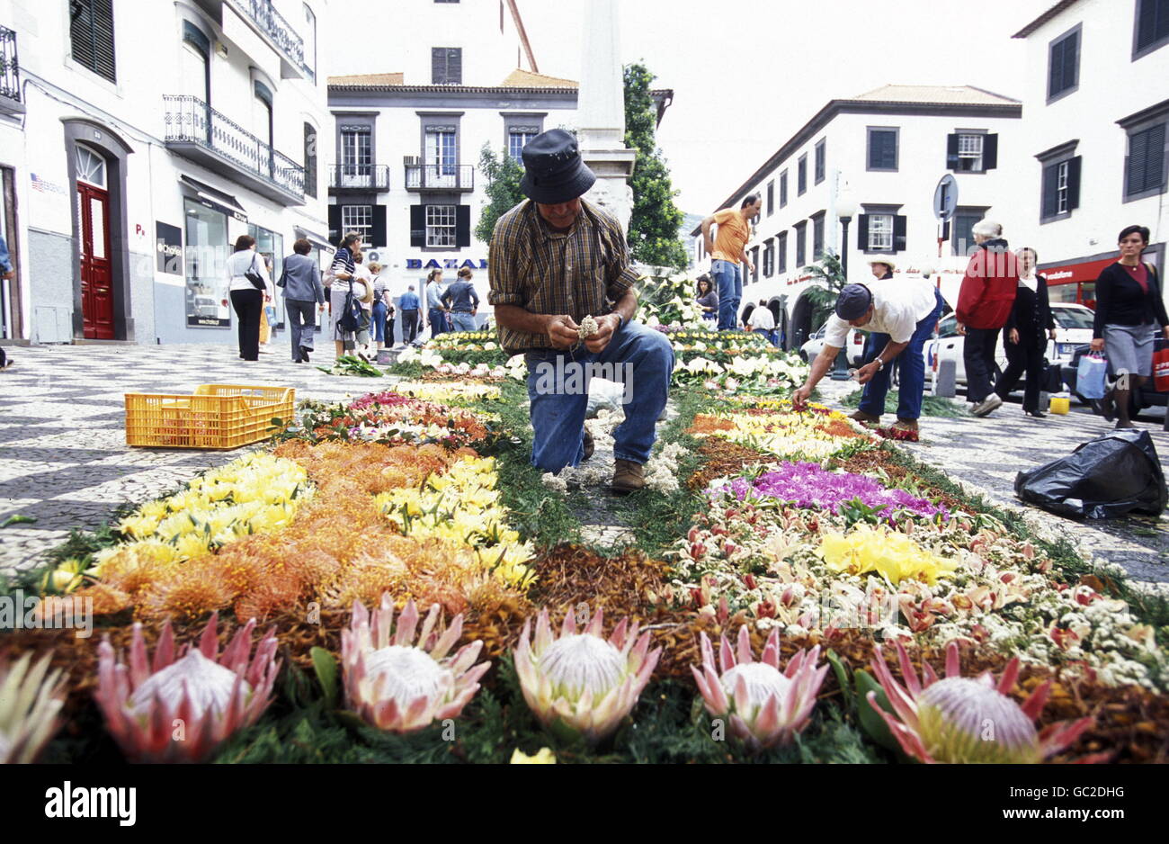 fresh flowers at the Spring Flower Festival in the city of Funchal on