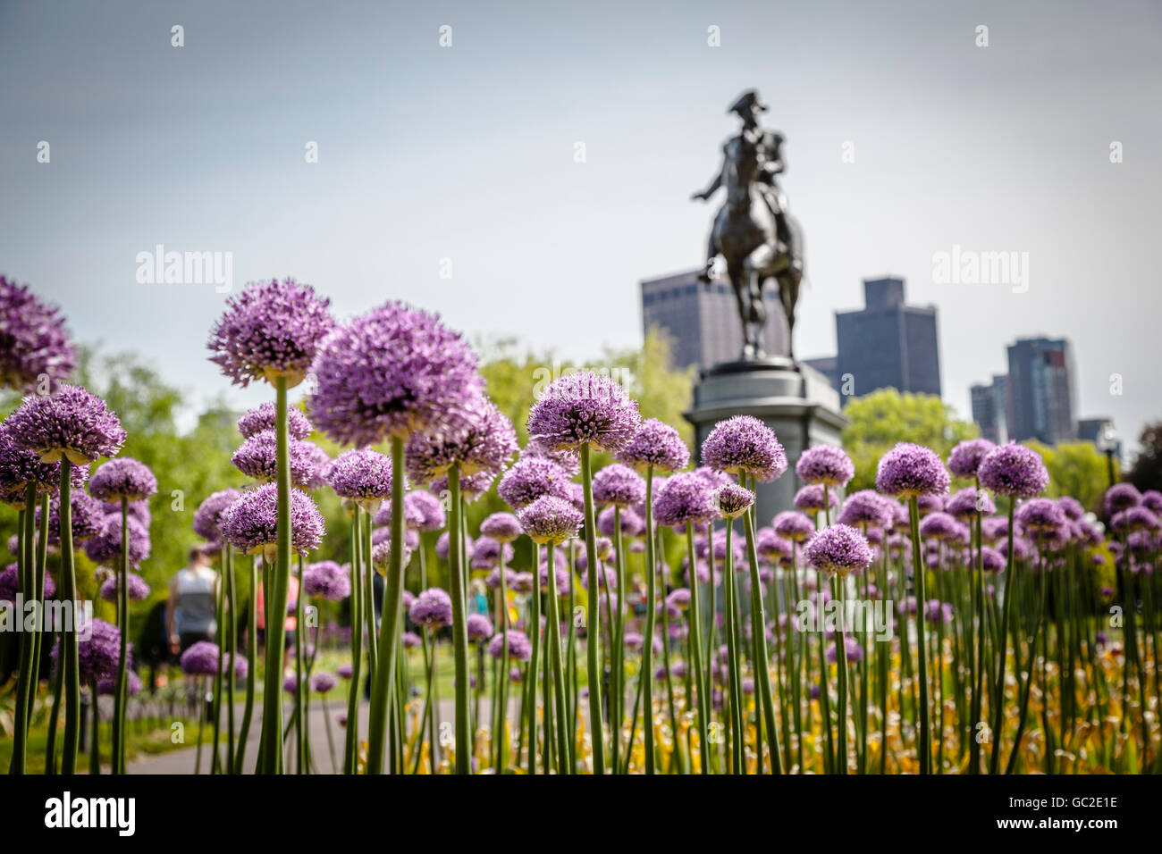 Boston Common George Washington monument at Massachusetts USA Stock Photo
