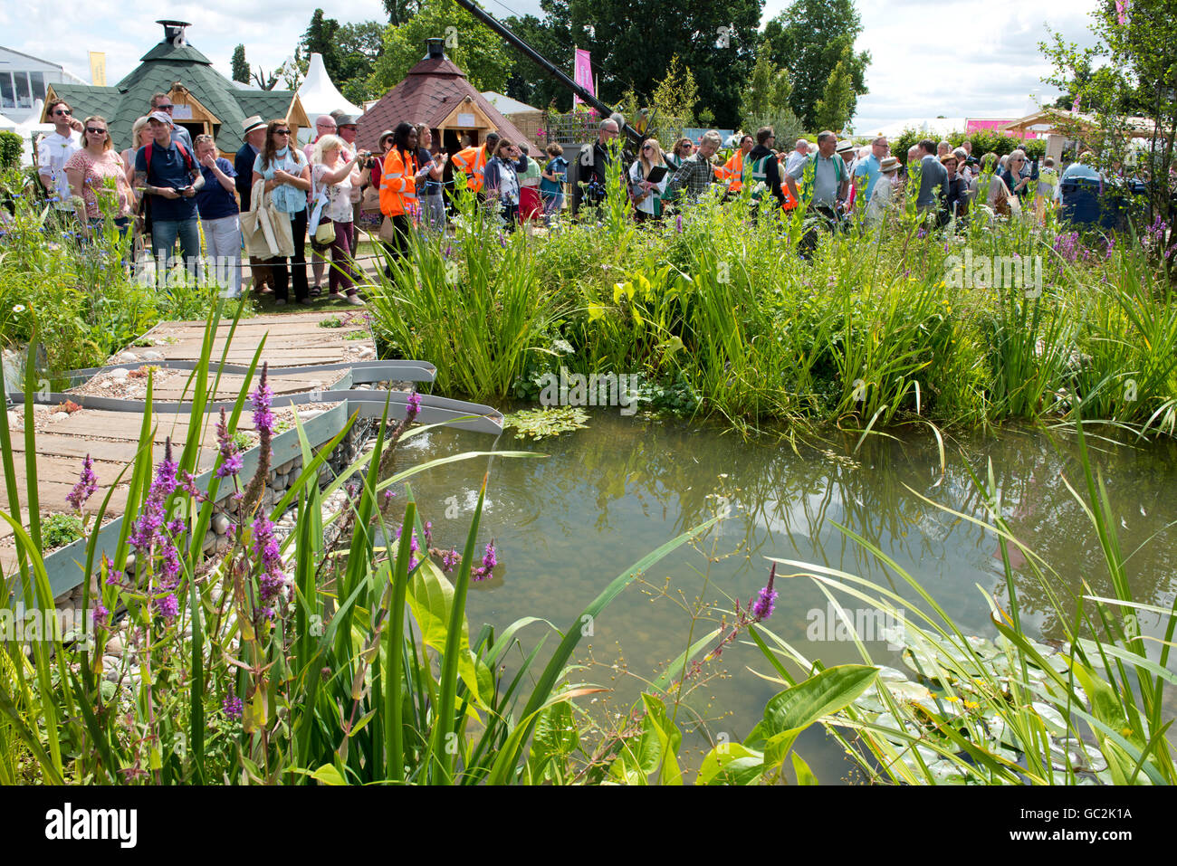 A crowd surrounding The Working Wetland Garden at The Hampton Court Palace Flower Show 2016,  East Molesley, Surrey, UK Stock Photo