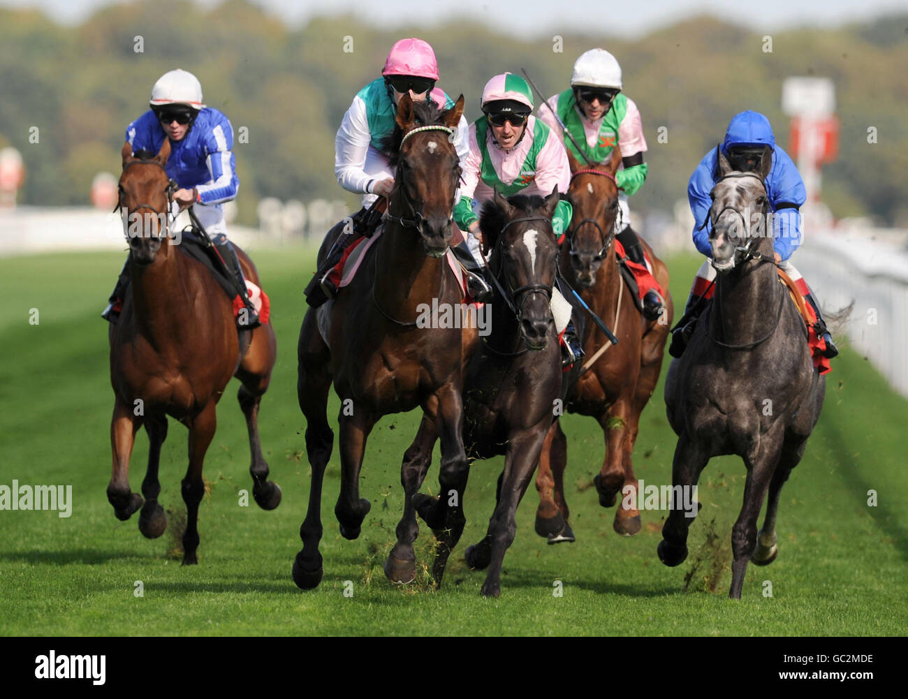 Tom Queally and Twice Over (pink cap) win the Debenhams Frenchgate Conditions Stakes during The Frenchgate 5 Raceday in the Ladbrokes St Leger Festival at Doncaster Racecourse. Stock Photo