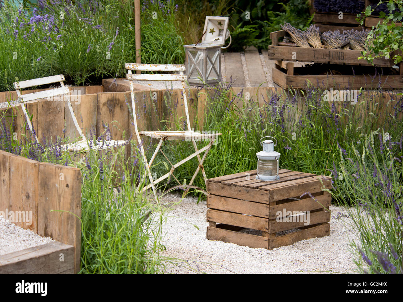 Old white garden chairs in a sunken seating area surrounded by rings of lavender in The Lavender Garden in the Summer Gardens ca Stock Photo