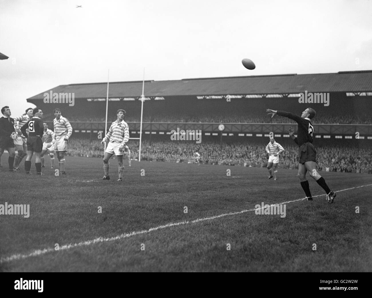 American Pete Dawkins throws a line-out ball over arm whilst playing for Oxford. The Rhodes Scholar previously played American football and adapted his long throwing ability to the Rugby line-out. He is generally regarded as popularising the overarm throw at the line-out. Stock Photo