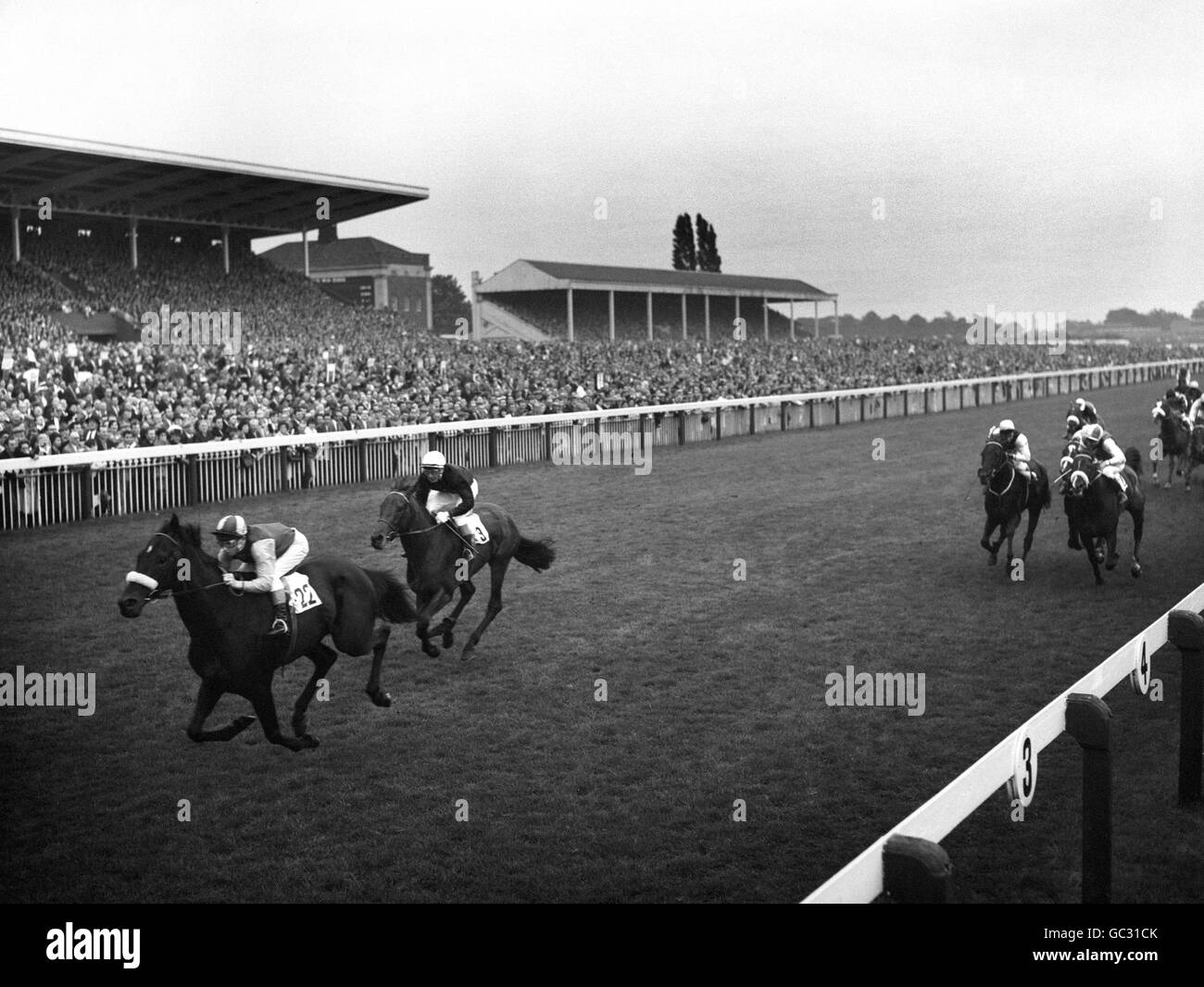 Twelfth Man (No.22), ridden by P. Cook wins the Ebor Handicap from Alcalde (No.9), ridden by D. Smith Stock Photo