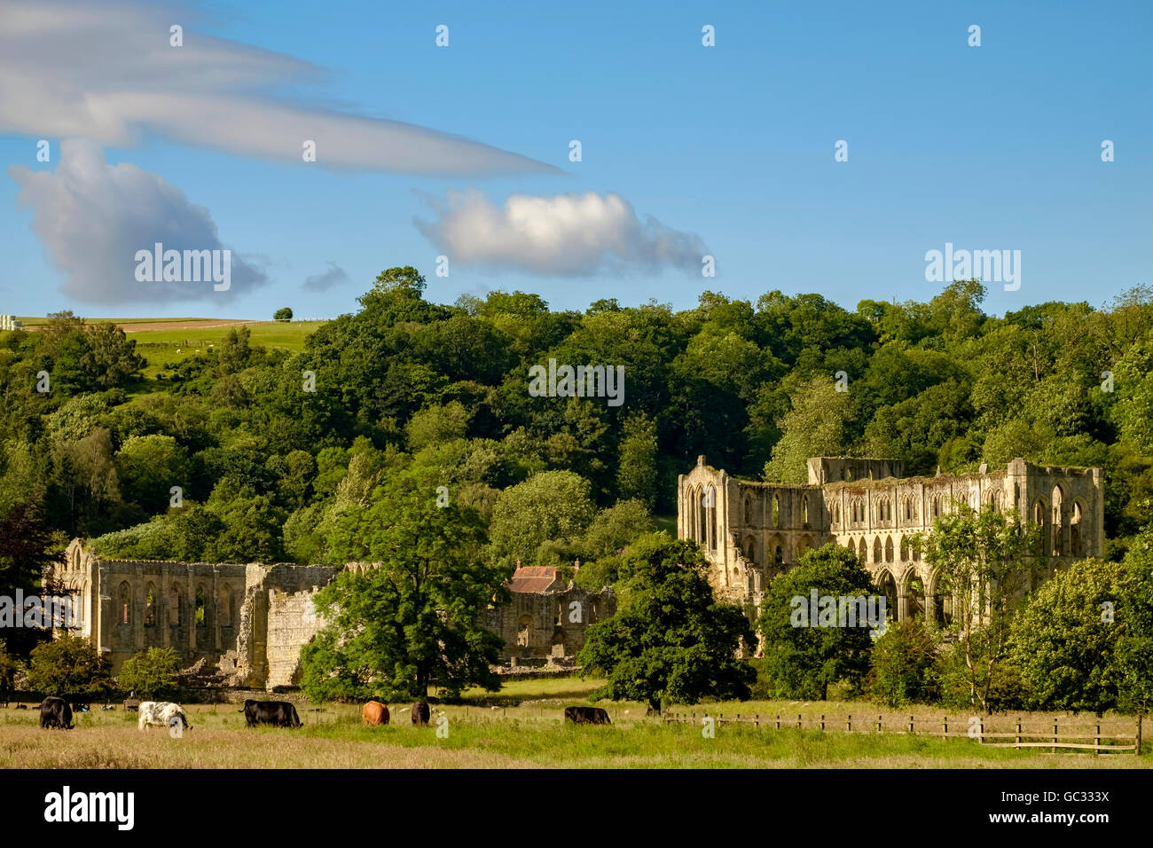 Rievaulx Abbey, North Yorkshire Stock Photo