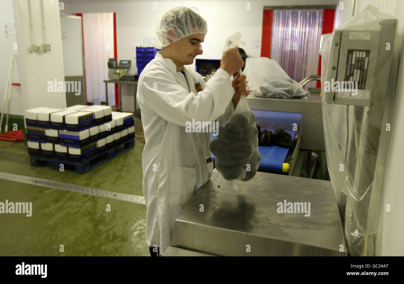 Staff at The Real Lancashire Black Pudding Company producing the ...