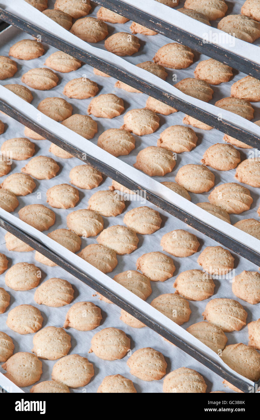 Baking cookies in a manufactory Stock Photo