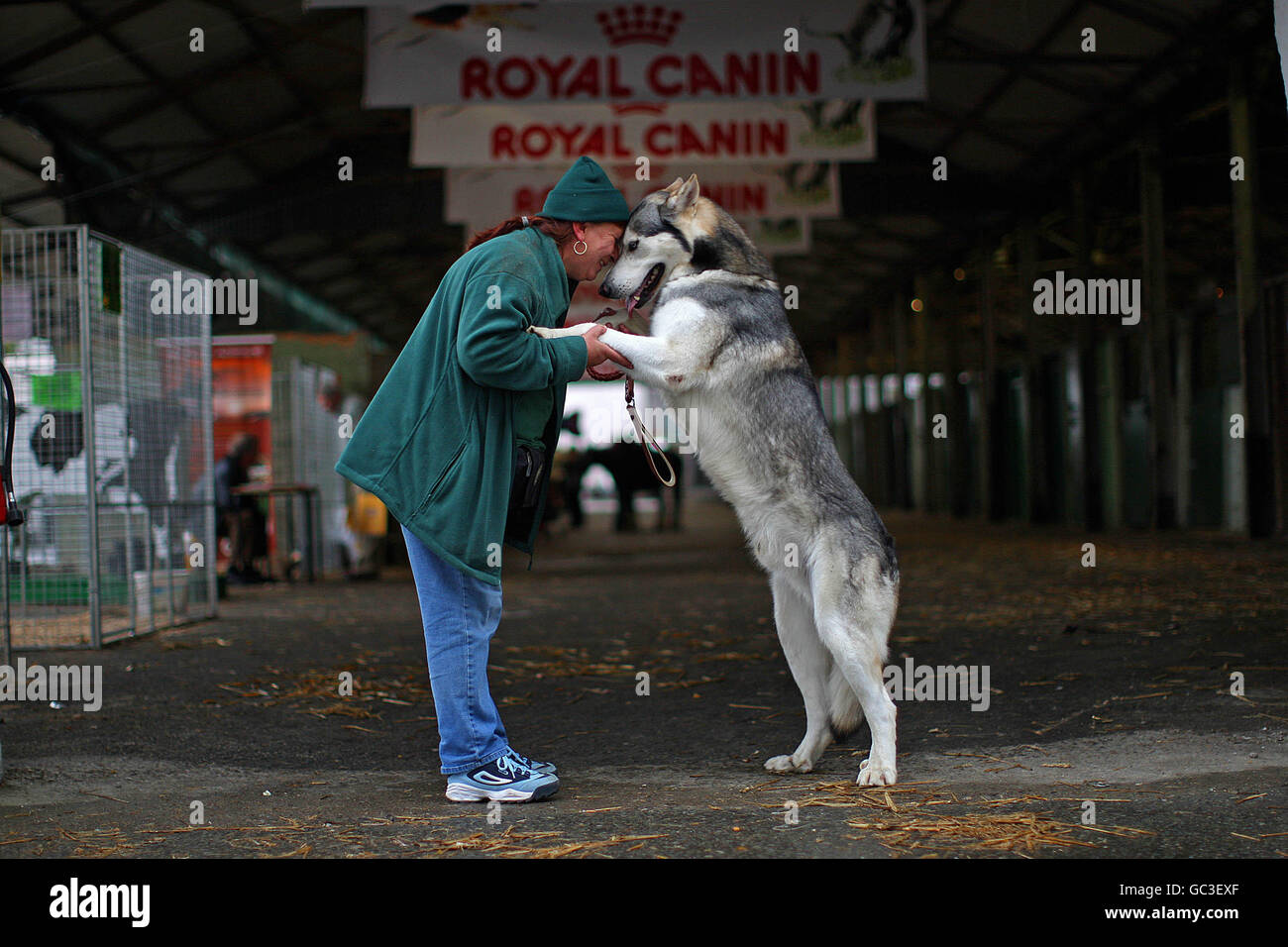 Ireland Pet Expo 2009 Stock Photo Alamy