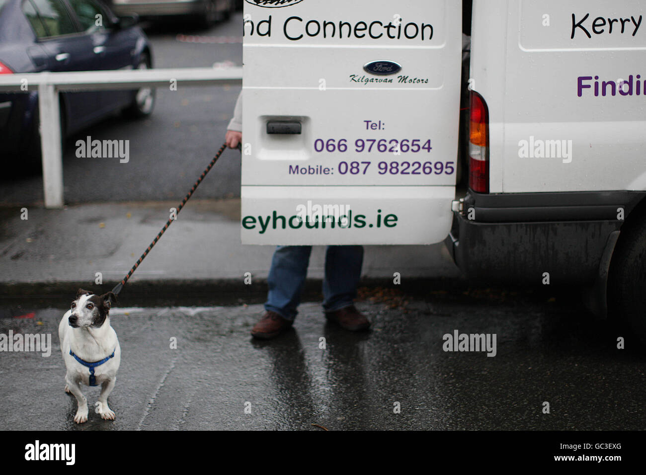 Ireland Pet Expo 2009 Stock Photo Alamy