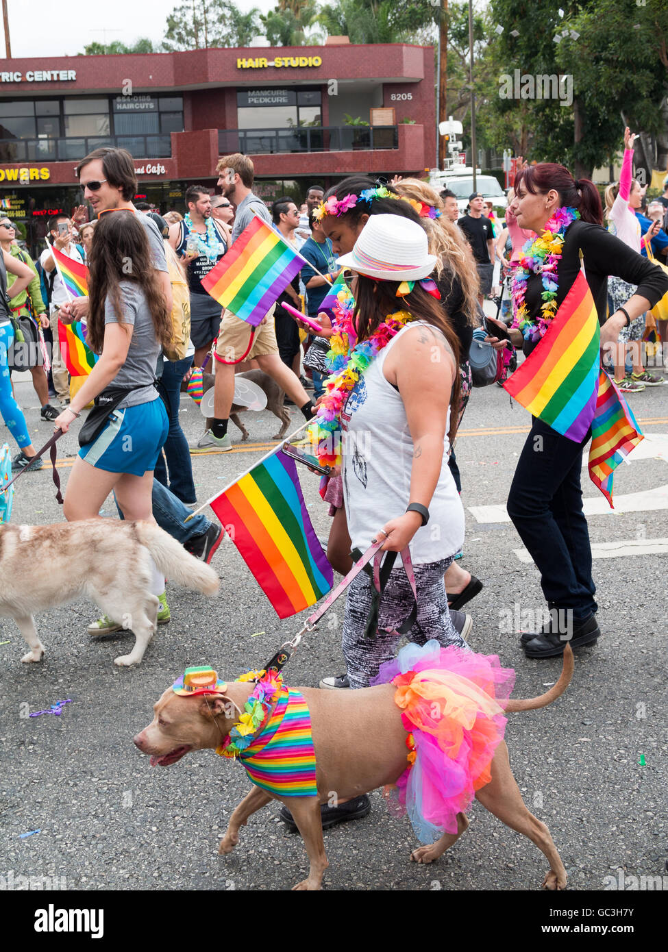 People parading with their dogs in LA Pride Parade 2016 Stock Photo Alamy