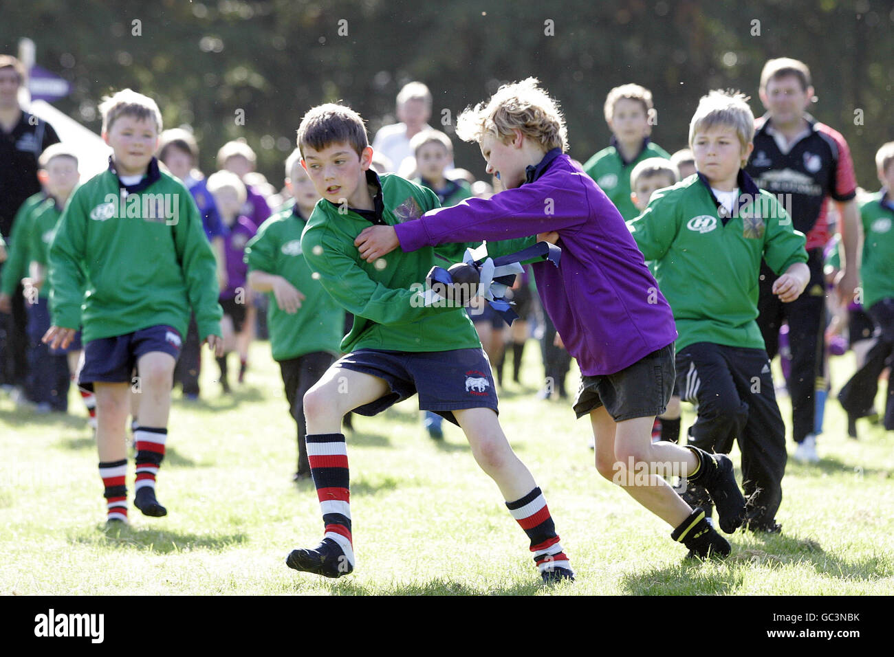 Local schoolchildren in teams of Selkirkshire (green) and Roxburghshire (purple) take part in a re-enactment of the 1815 Carterhaugh Ba' game, that some historians believe was a forerunner to the game of rugby, at Bowhill, Selkirkshire. Stock Photo